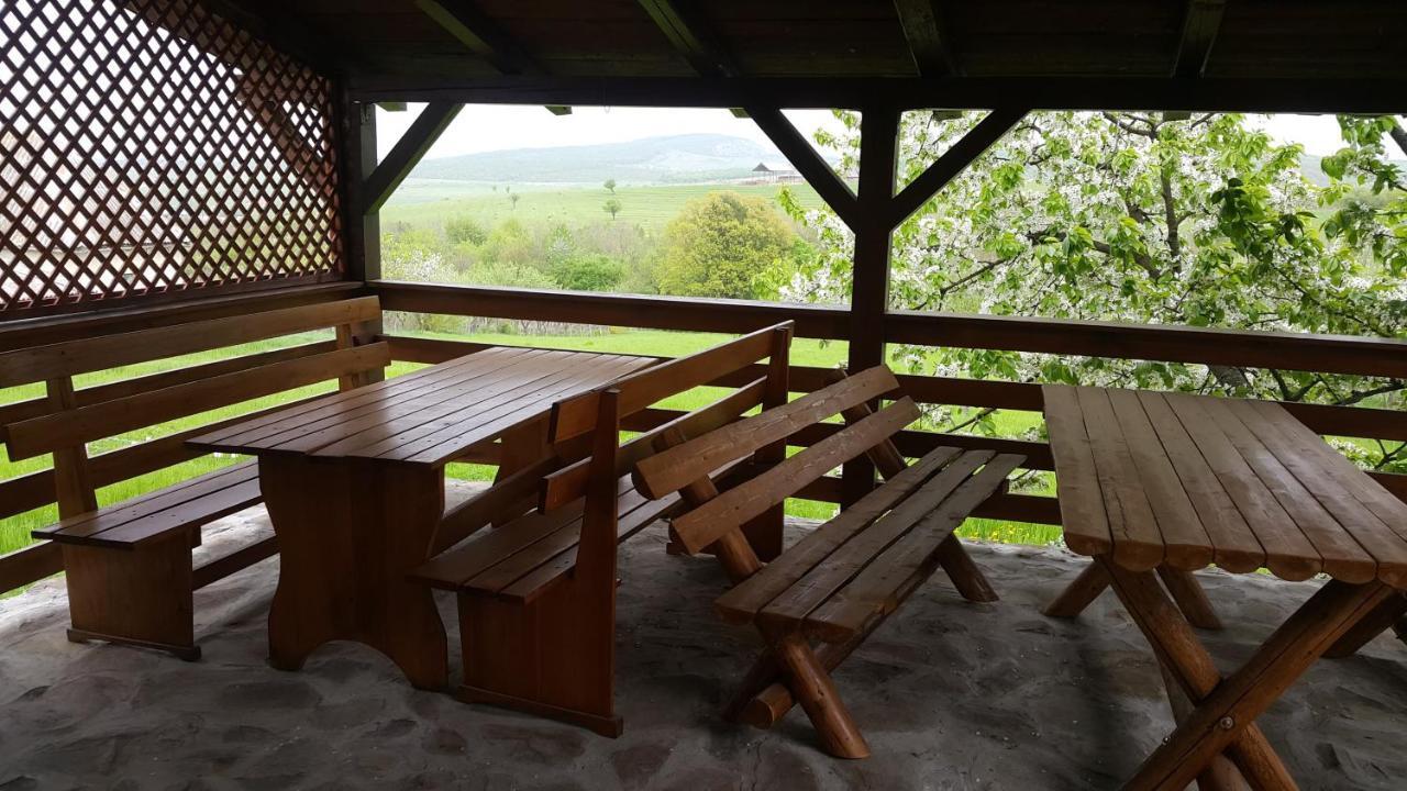 فندق Casa Laur Băile Felix المظهر الخارجي الصورة